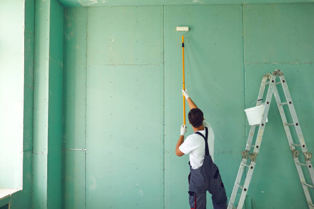 Best Emergency Mold Remediation  in Crystal Lake, CT