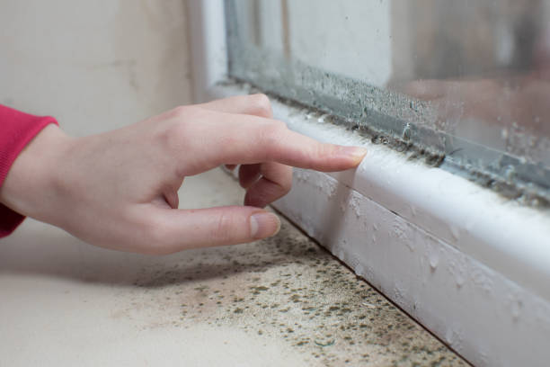 Best Airborne Mold Testing  in Crystal Lake, CT